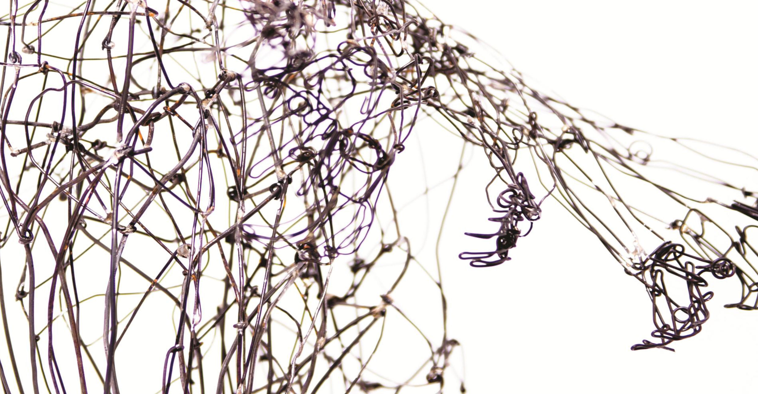 DISEGNARE-CON-IL-FILO-DI-FERRO